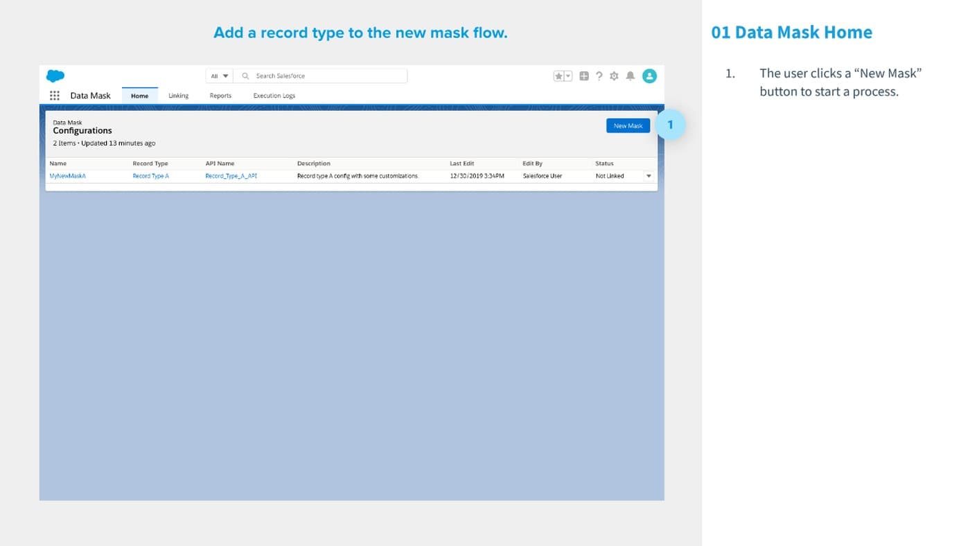 Salesforce data mask home screen